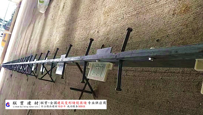 随州市铠甲缝施工案例
